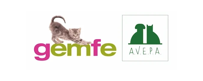 Logo GEMFE